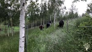 Smallholding, Hobby Farm, Family farm