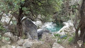 Natural river delta olive garden