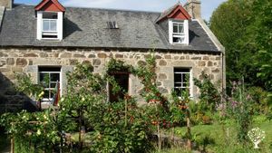 house with apple trees