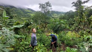 🌿Sustainable living center in the Amazon, learn permaculture & syntropic agriculture in the jungle.