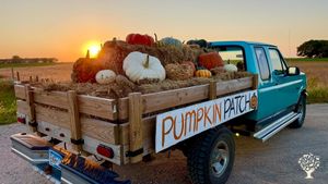 Pumpkin truck!