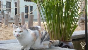 Mehrgenerationengemeinschaft und soziale Einrichtung vor den Toren Leipzigs