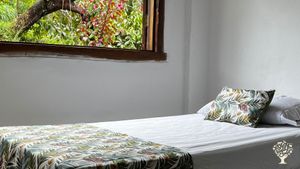 Fazenda agroecológica, produção de cacau, açaí, cupuaçu e outros em SAF e uma RPPN