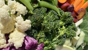 Northern Roots Gardens are home of Transform Your Yard into a Food Garden Mentorship program.