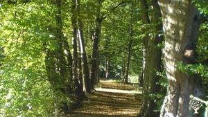 Éco-lieu visant la résilience locale, la vie en collectivité