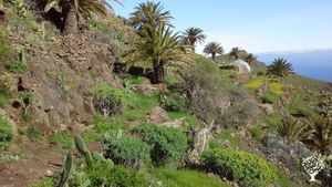 Permaculture - Retreat Farm  &  Seedkeeping