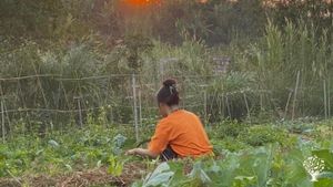An organic farm run by a young and passionate team who share vision about sustainable lifestyle