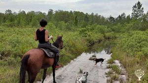 Hard manual labor camp