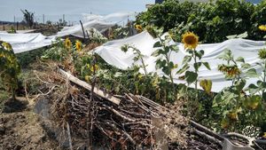 Alternative way of living in the countryside