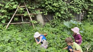 Livestock Farm, Farm, Family farm, Community farm