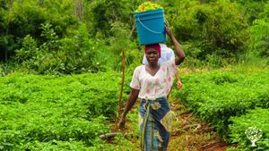 Mjika farm, is a four acres  farm located at Malinyi District of Morogoro region.