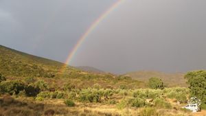 Con vistas al monte