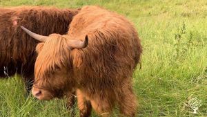 Ferme maraichère biologique