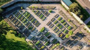 Family home and garden - rural, smallholding, market garden, flower grower, orchard, woodland