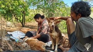 Biodiverse farm following agroecology, permaculture and local practices