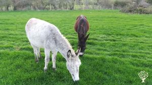 Éco lieu, basé sur la culture de fruits et légumes
