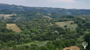 Organic farm in Transilvania