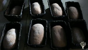 Communal living / cohousing