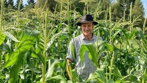 Market garden with animals for self-sufficiency