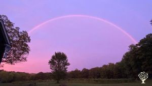 Rainbows over the vineyard, photo by wwoofer