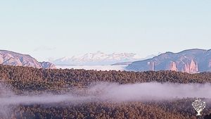 Granja regenerativo de vacuno y ovino en construcion y proyectos de bio construccion.