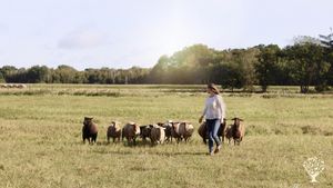 Farm, Community farm