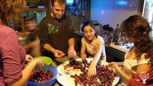 Eco Lodge/Wilderness Adventures