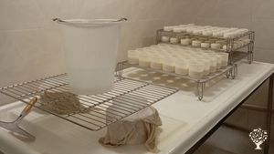 Goat farm and cheesery/Homestead