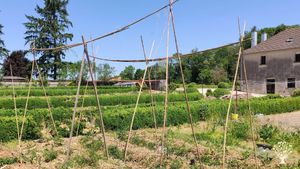 Collectif engagé dans la transition