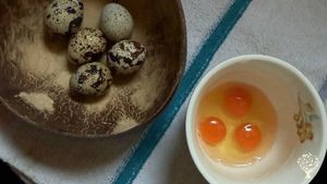 Building a small mountain farm