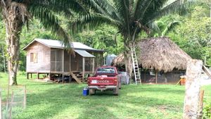 Organic, regenerative smallholding & agroforestry project  - Therapy & Holistic Retreat