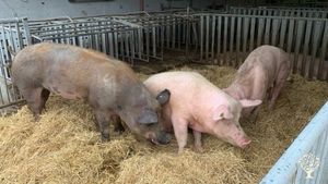 Vielseitiger Bioland-Gemischtbetrieb