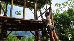 🌿Sustainable living center in the Amazon, learn permaculture & syntropic agriculture in the jungle.