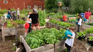 Jardin collectif et ferme pédagogique