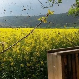 Reinhard und Tatjana