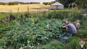 Permacultural farm in the countryside of central Slovakia