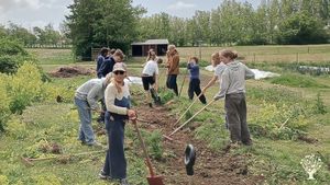 Organic vegetable production on alternative bording school