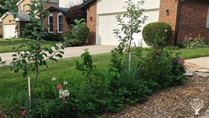 Front Food Forest 2022
