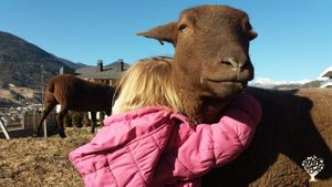 Fattoria bio-sociale