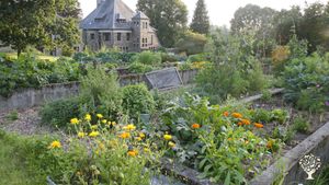Grand jardin potager en permaculture depuis 2021, forêts