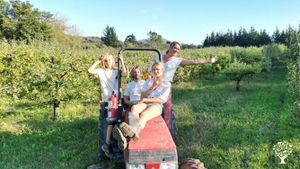 Horses & Reganerative Apple orchard