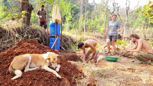 Biodiverse farm following agroecology, permaculture and local practices