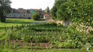 Le potager