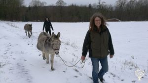 Biobauernhof mit vielen Tieren