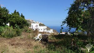 An evolving eco-finca in the North of Tenerife