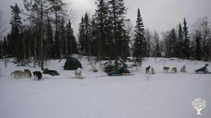 Farm in the mountains