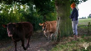 Communal living / cohousing