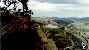 Fattoria che pruduce erbe aromatiche, ortaggi e frutta