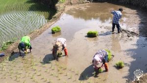 <GN124>남쪽빛 바다 농장 / Southern Light Sea Farm