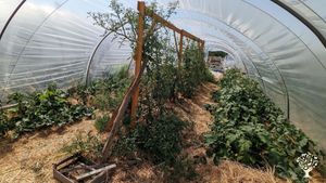 Ferme biologique certifiée AB